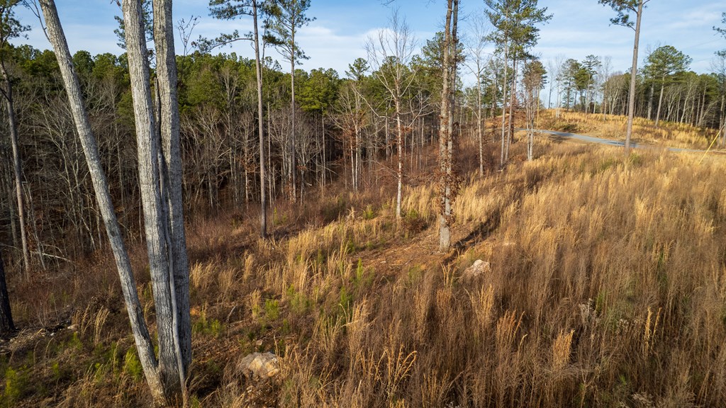 Lot 177 Shallow Water Way, Talking Rock