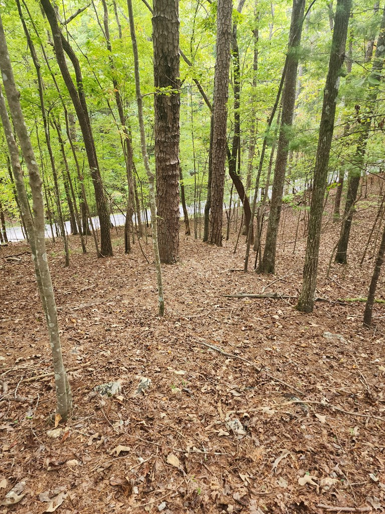 0 Mascot Drive, Ellijay