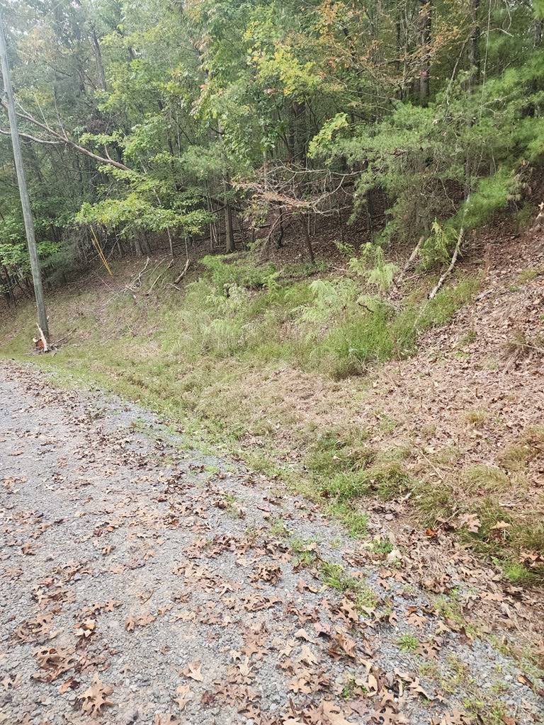 0 Mascot Drive, Ellijay