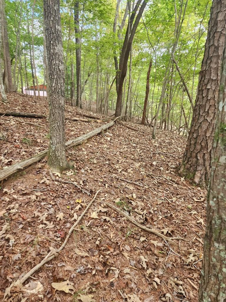 0 Mascot Drive, Ellijay