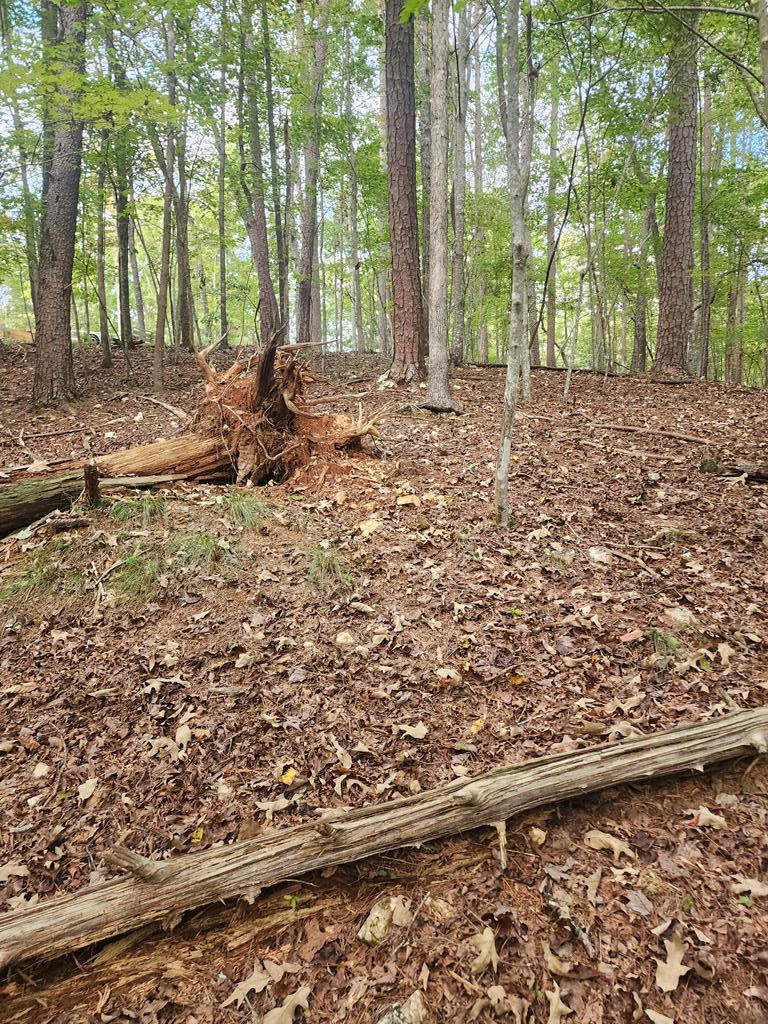 0 Mascot Drive, Ellijay