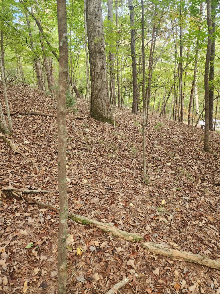 0 Mascot Drive, Ellijay