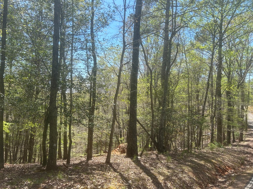 LT1944 Palmetto Drive, Ellijay