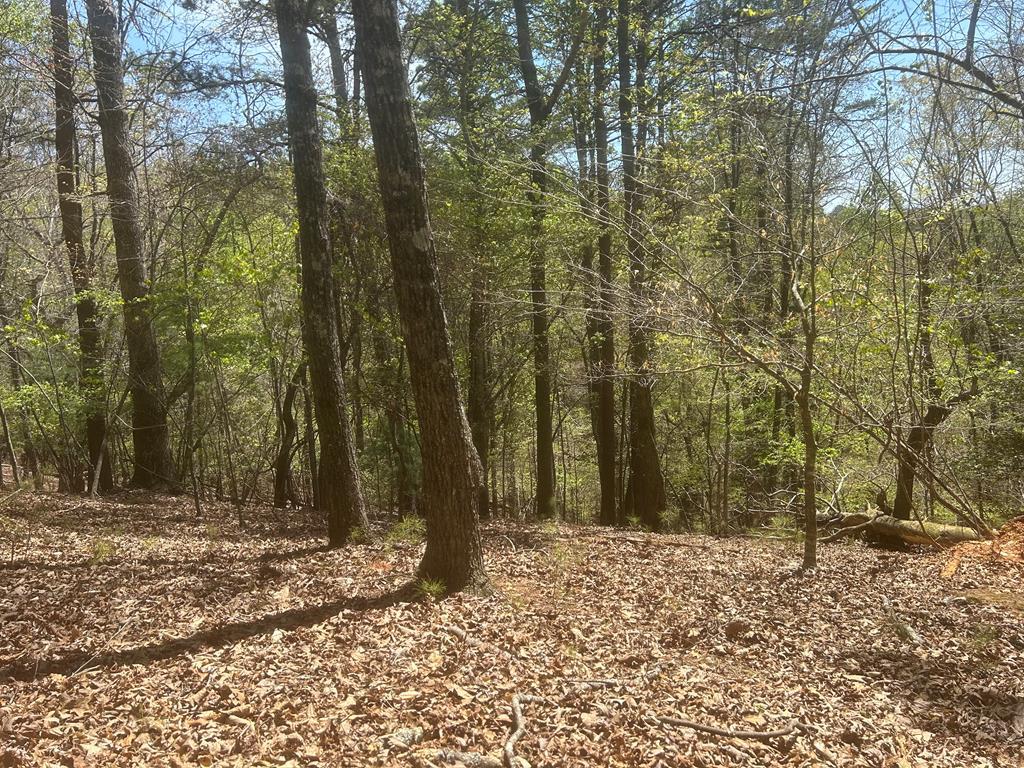 LT1944 Palmetto Drive, Ellijay