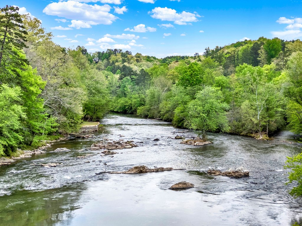 LT1944 Palmetto Drive, Ellijay