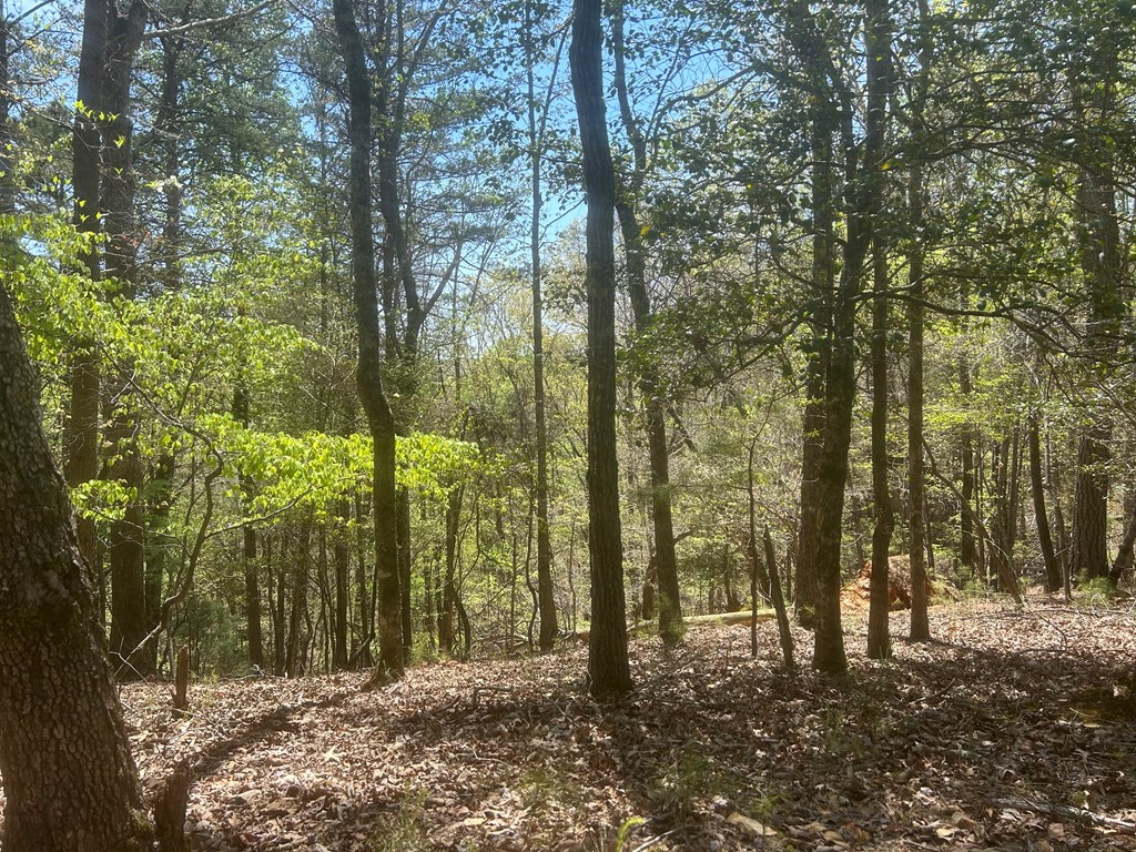 LT1944 Palmetto Drive, Ellijay