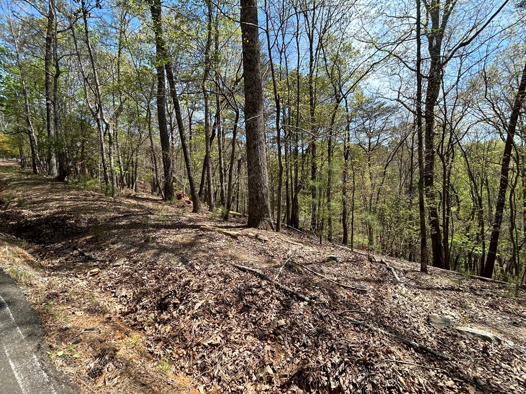 LT1944 Palmetto Drive, Ellijay