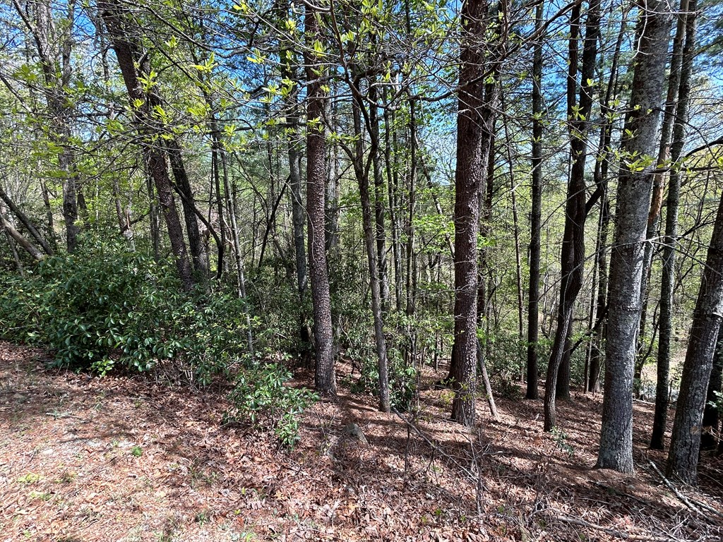 LT699 Choctaw Drive, Ellijay