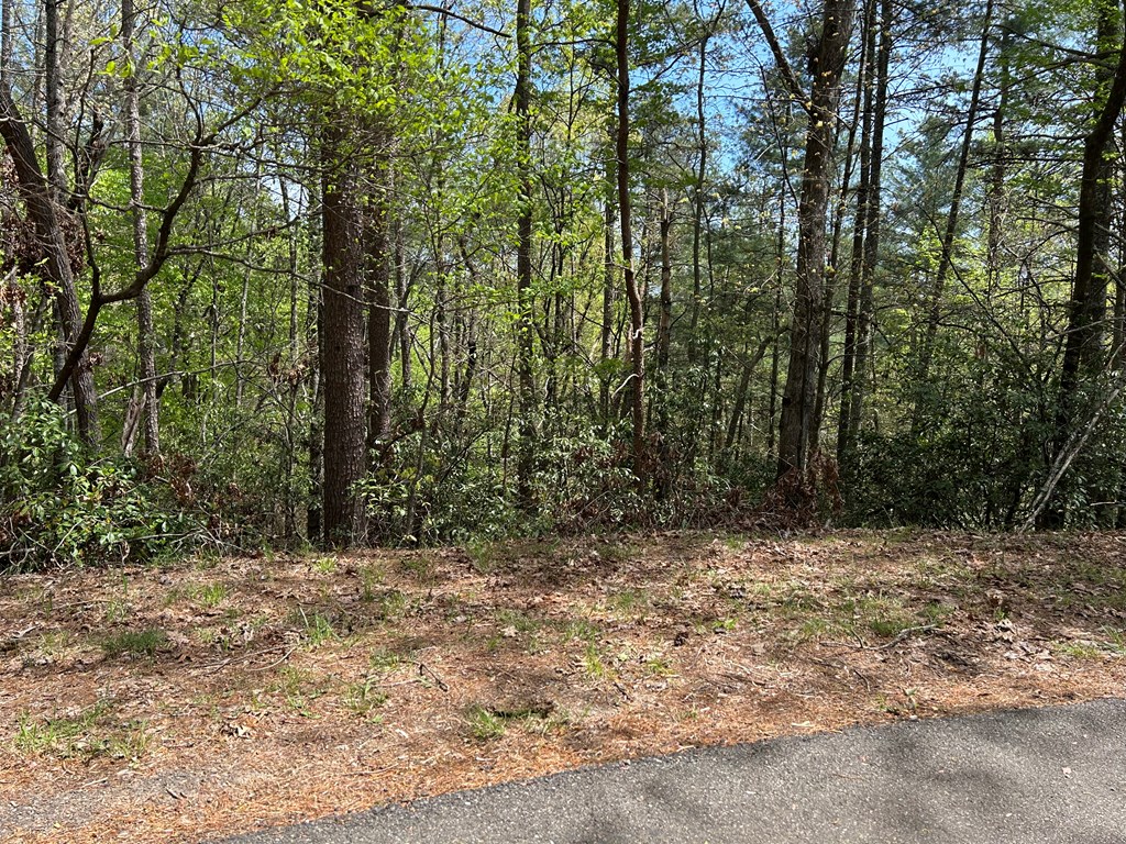 LT699 Choctaw Drive, Ellijay