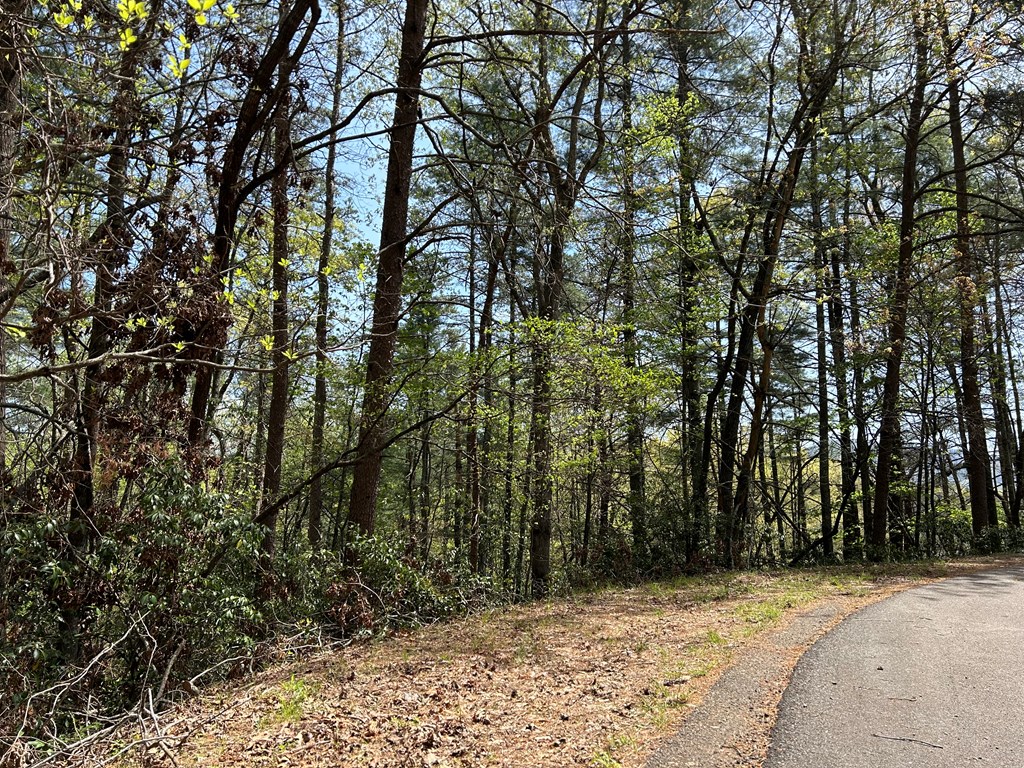 LT699 Choctaw Drive, Ellijay