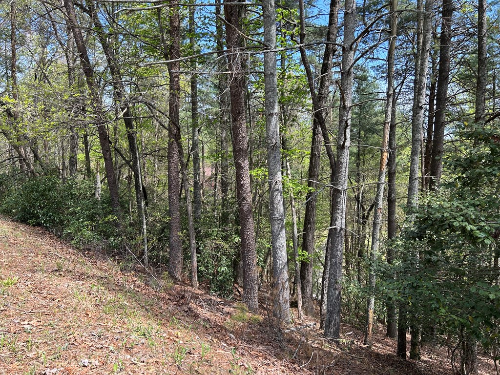 LT699 Choctaw Drive, Ellijay