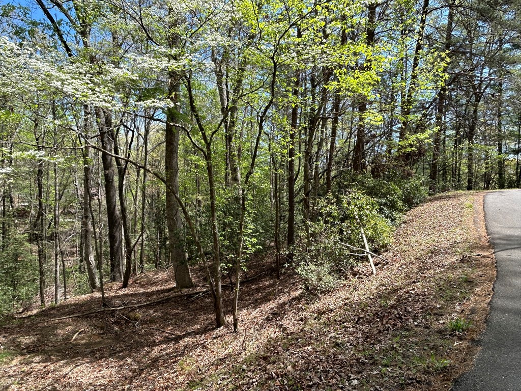 LT699 Choctaw Drive, Ellijay