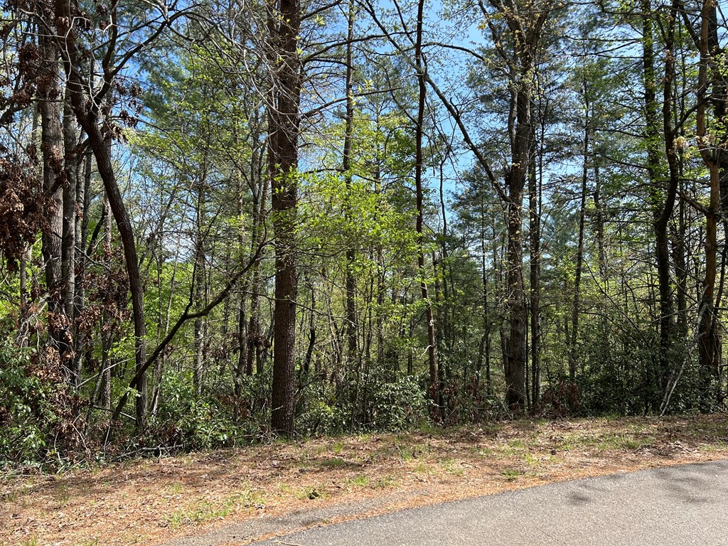 LT699 Choctaw Drive, Ellijay