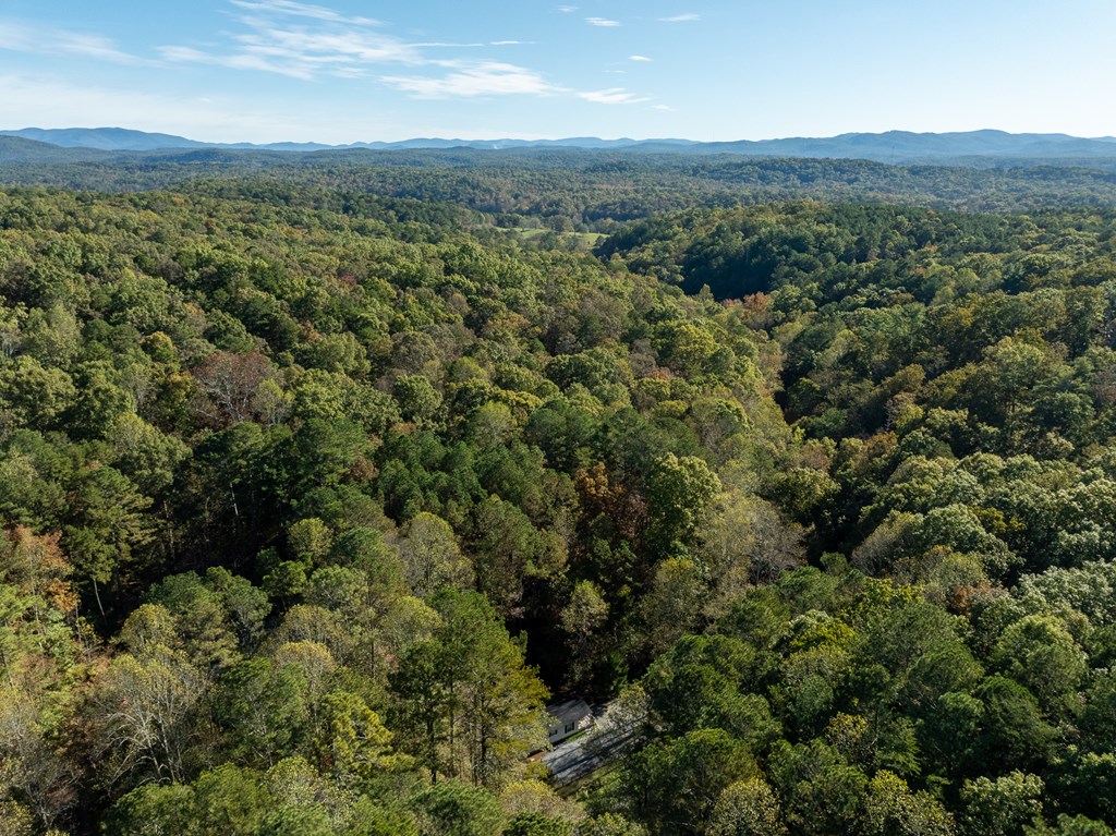 754 Holden Road, Ellijay