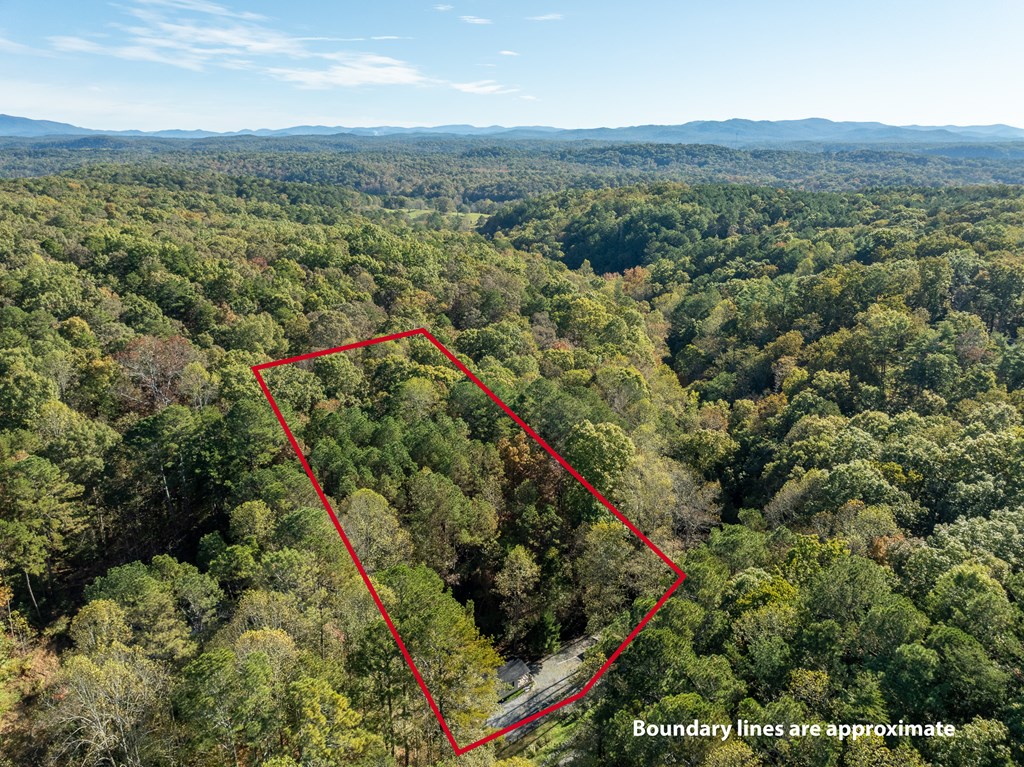 754 Holden Road, Ellijay