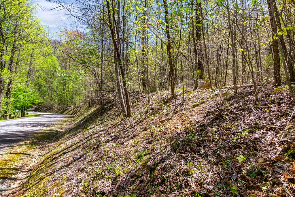 29 AC Hidden Valley Drive
