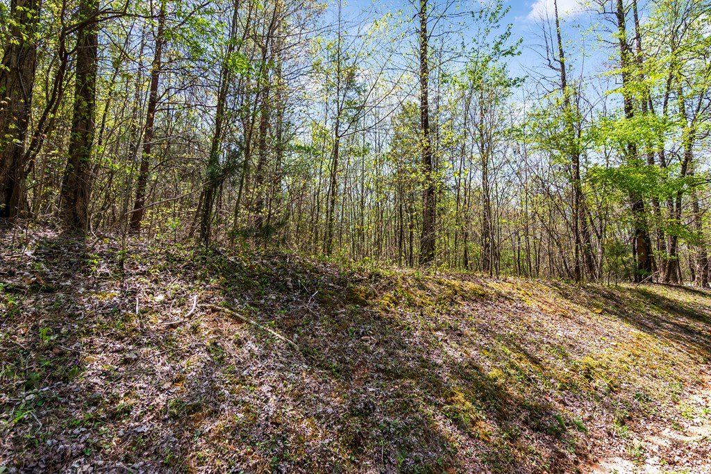 29 AC Hidden Valley Drive