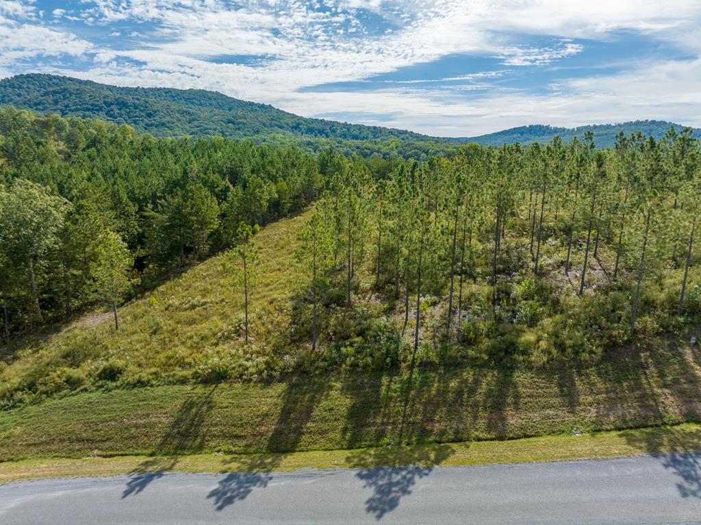 Lot 299 Twisted Oak Road