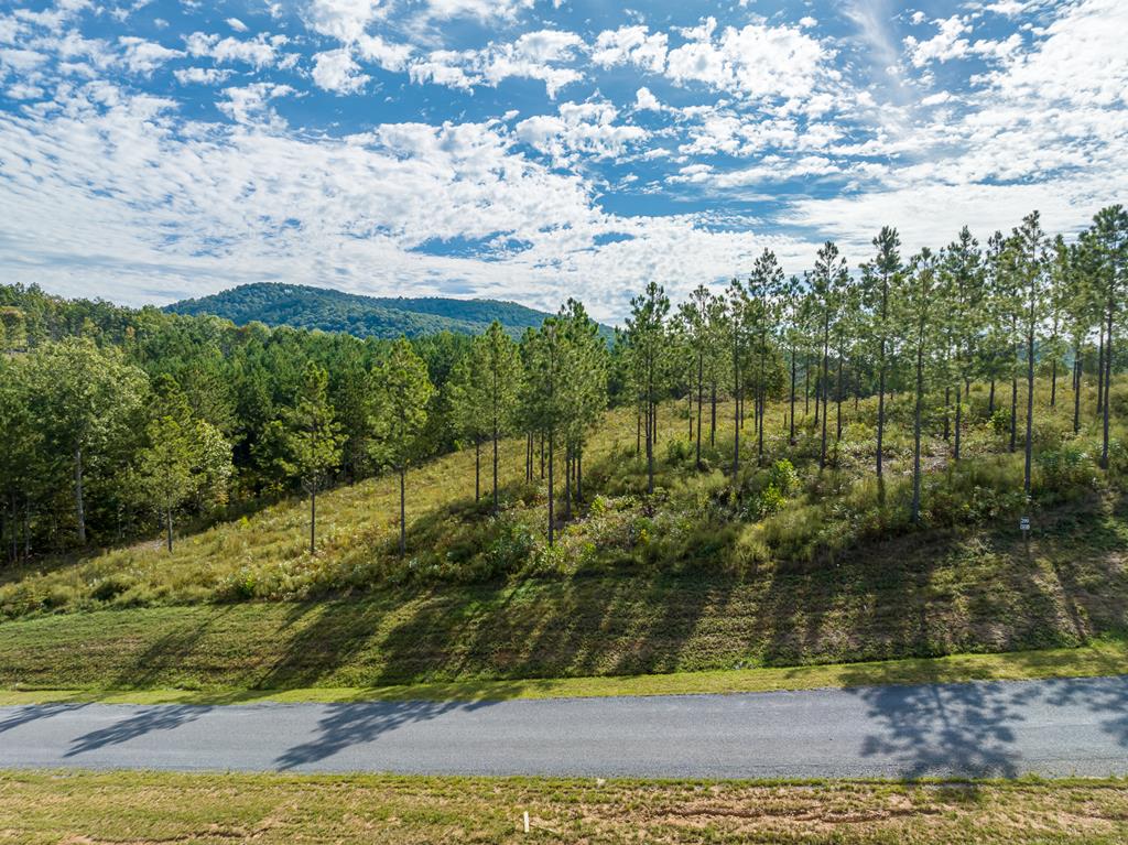 Lot 299 Twisted Oak Road