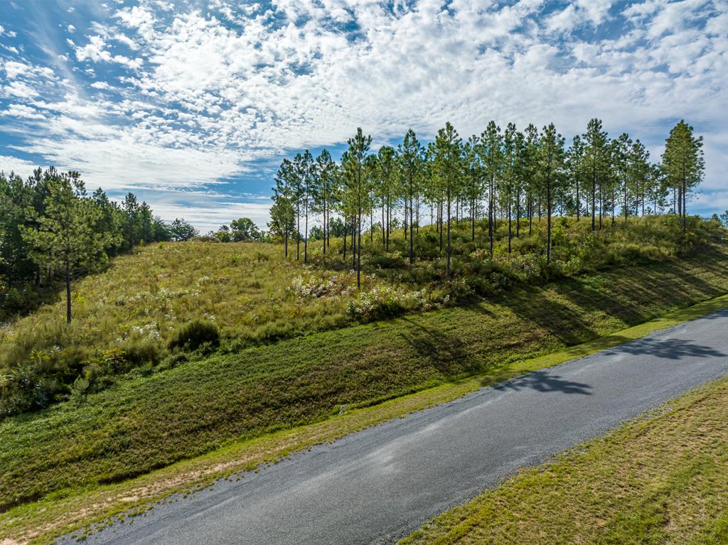 Lot 299 Twisted Oak Road