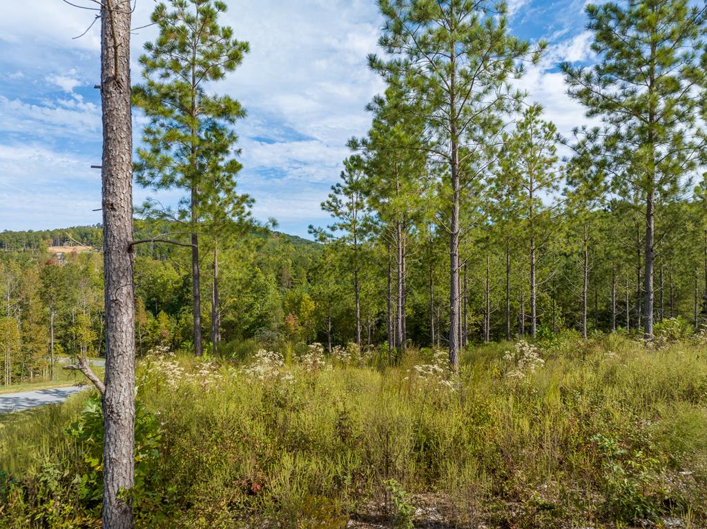 Lot 299 Twisted Oak Road