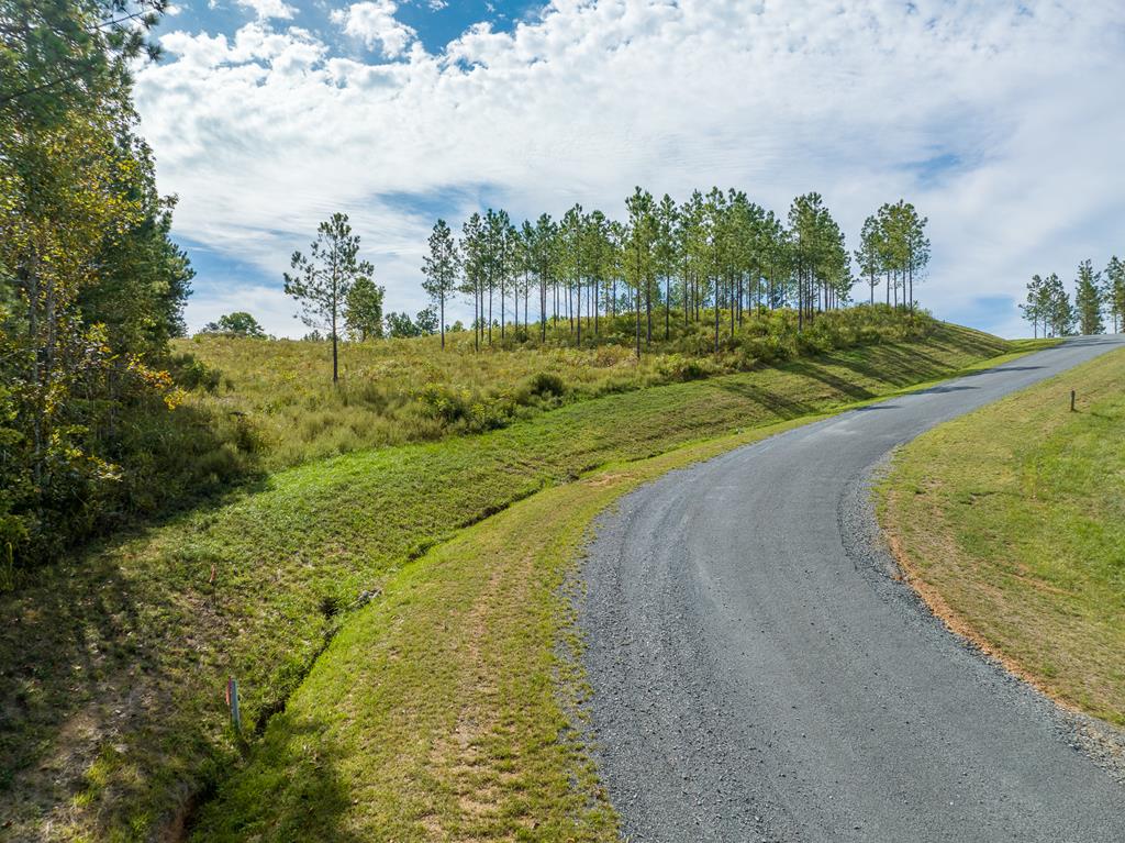 Lot 299 Twisted Oak Road