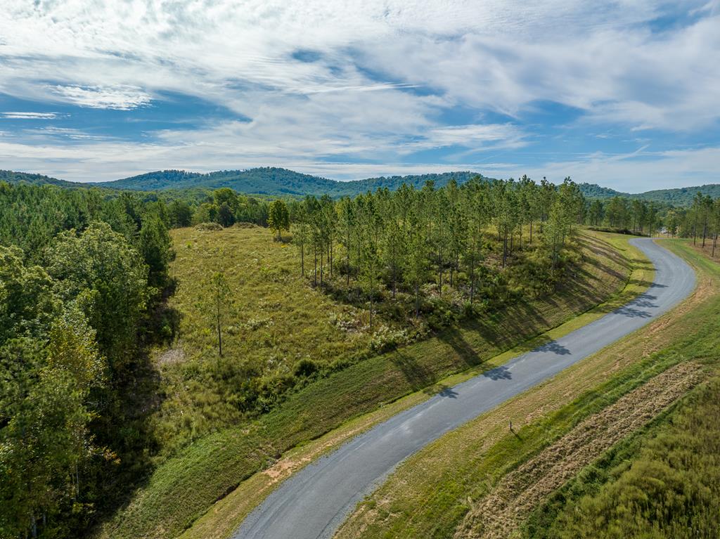 Lot 299 Twisted Oak Road