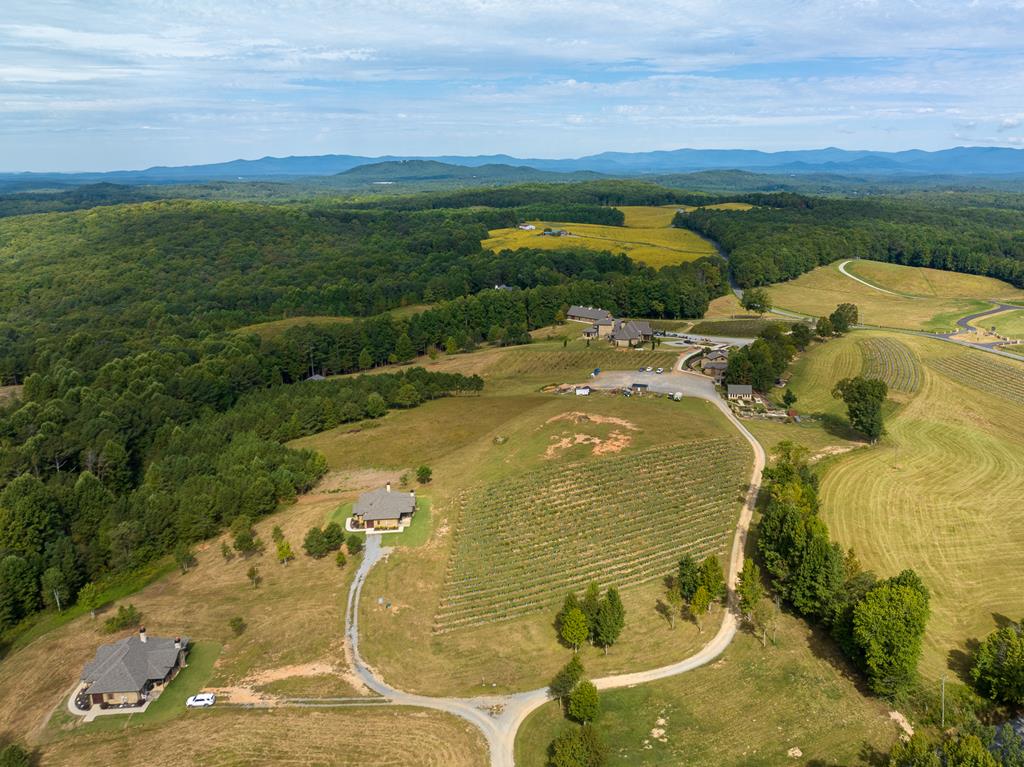 Lot 299 Twisted Oak Road