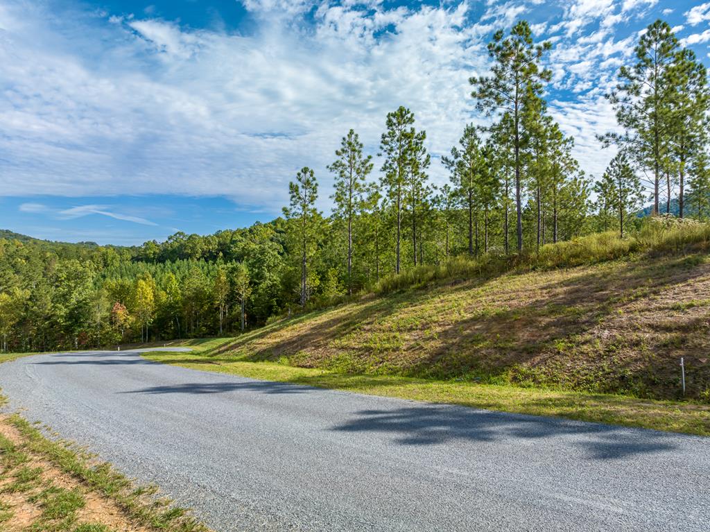 Lot 299 Twisted Oak Road