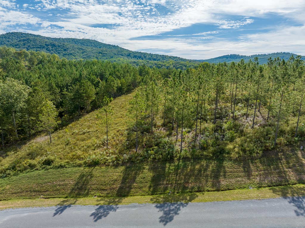 Lot 299 Twisted Oak Road