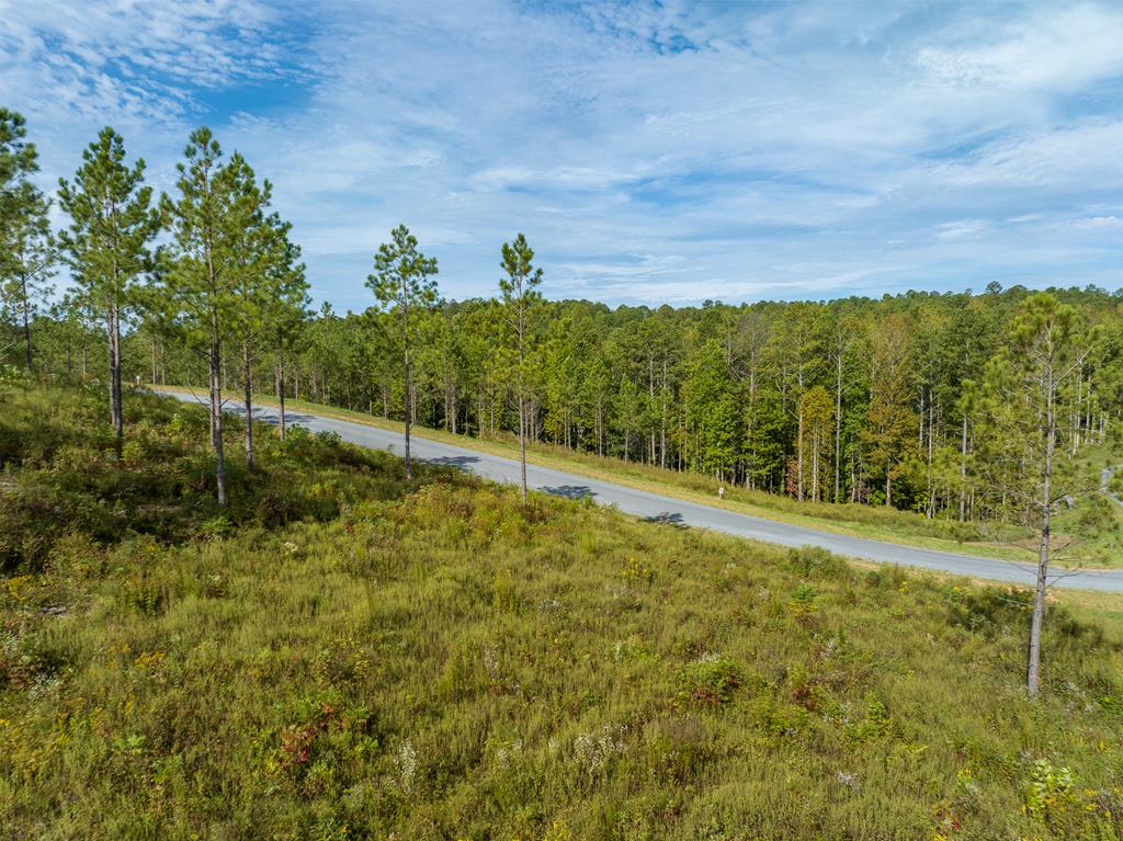 Lot 299 Twisted Oak Road