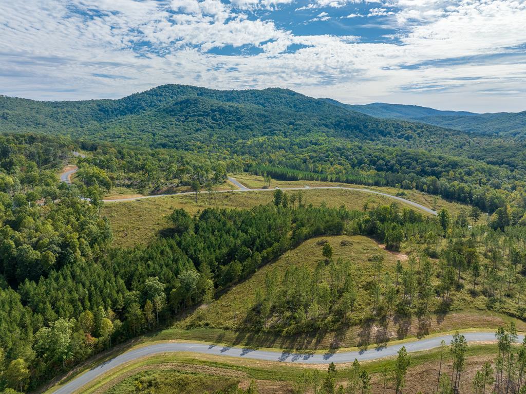 Lot 299 Twisted Oak Road