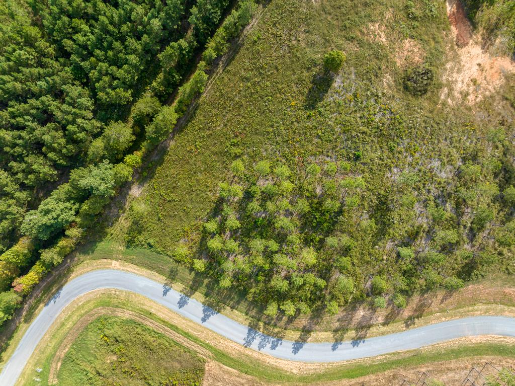 Lot 299 Twisted Oak Road