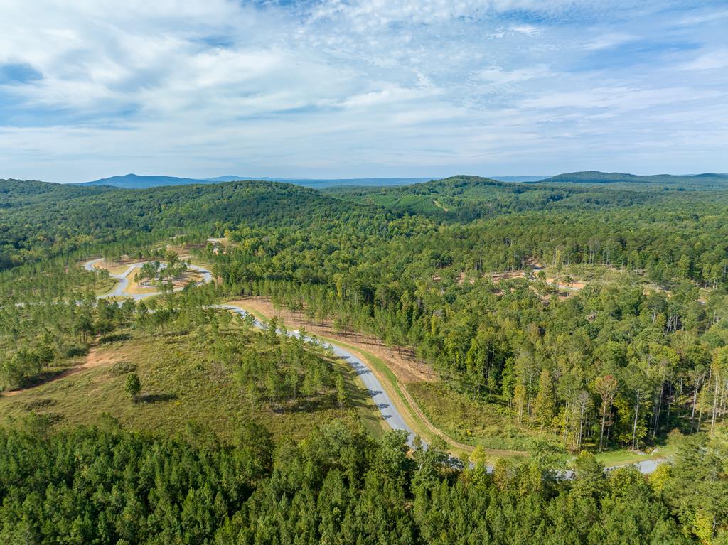 Lot 299 Twisted Oak Road