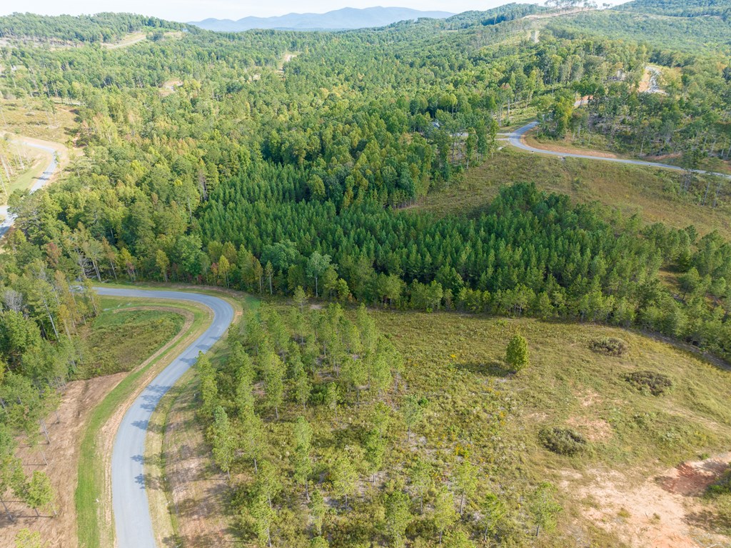 Lot 299 Twisted Oak Road