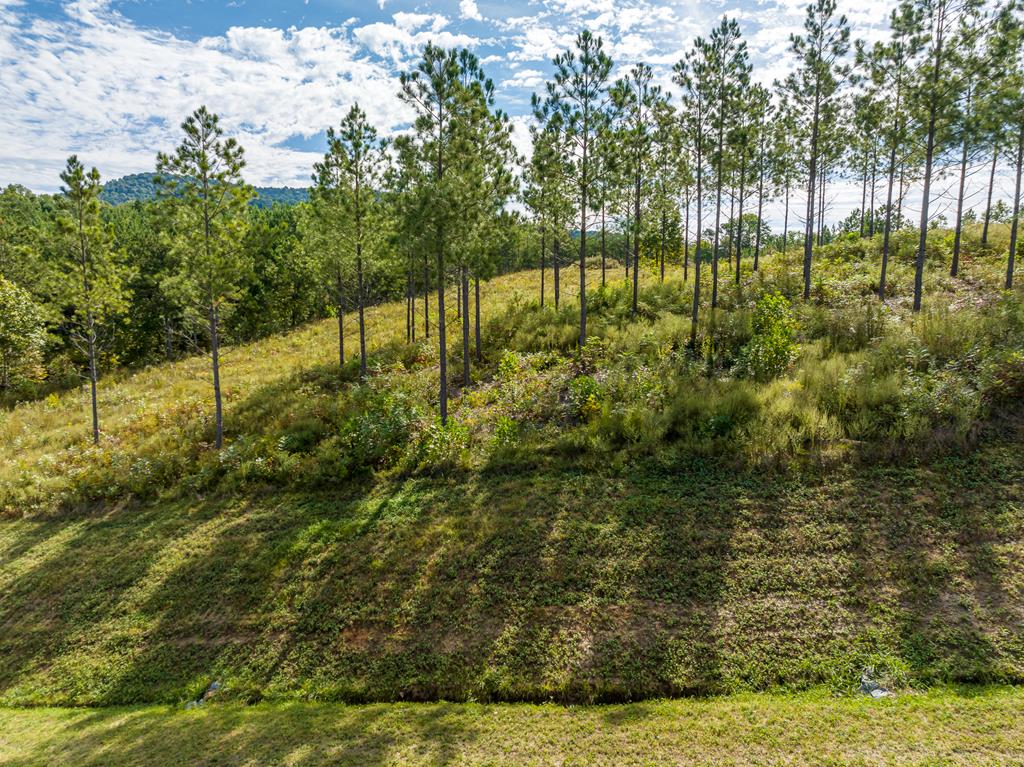 Lot 299 Twisted Oak Road