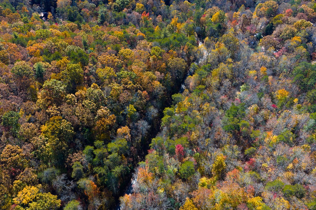 N/A Willard Mountain Road