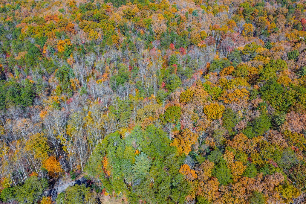 N/A Willard Mountain Road