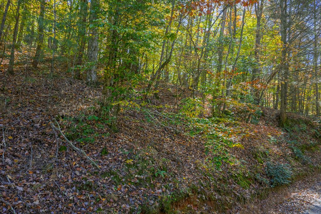 N/A Willard Mountain Road