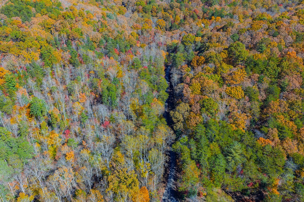 N/A Willard Mountain Road