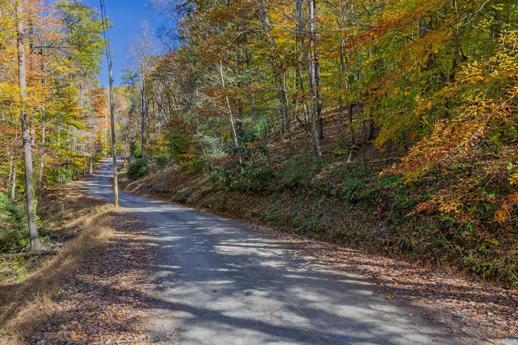 N/A Willard Mountain Road