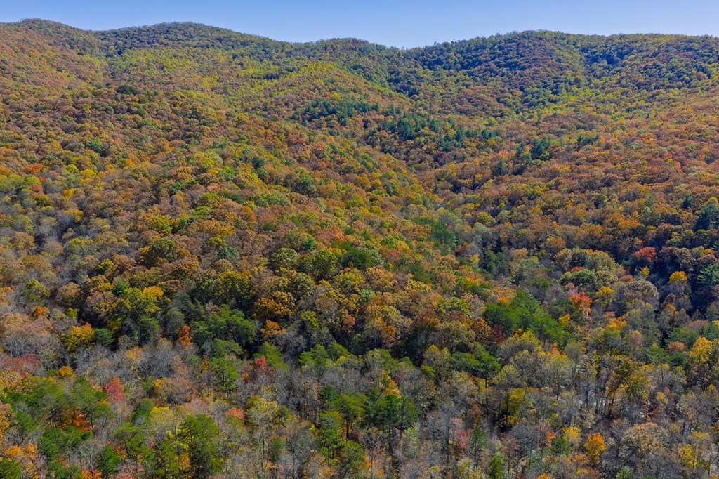 N/A Willard Mountain Road