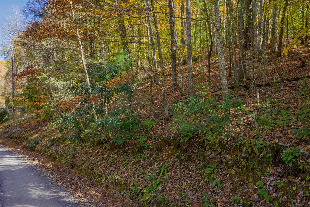 N/A Willard Mountain Road