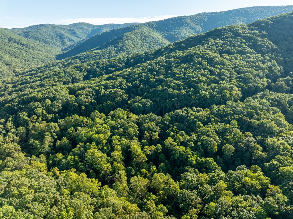 Lot 3 Wilderness Way