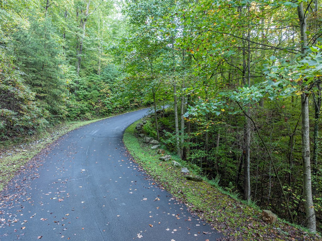 Lot 3 Wilderness Way