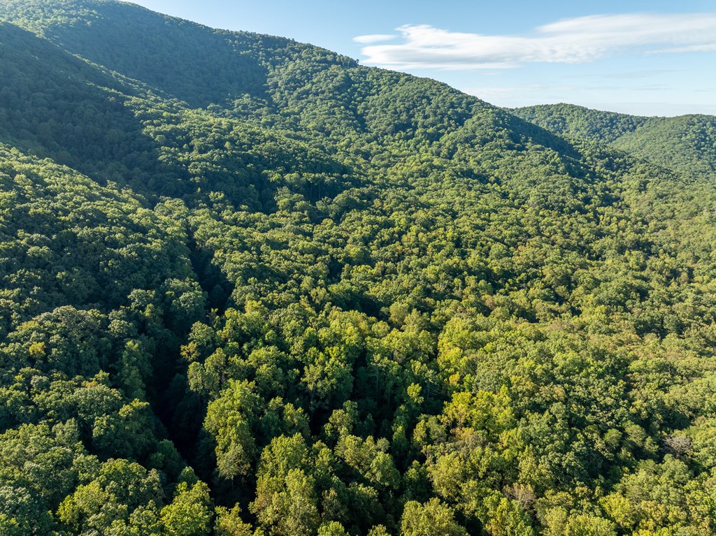 Lot 3 Wilderness Way