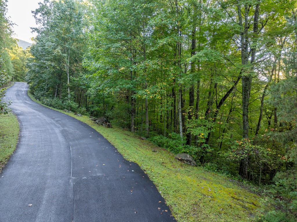 Lot 3 Wilderness Way