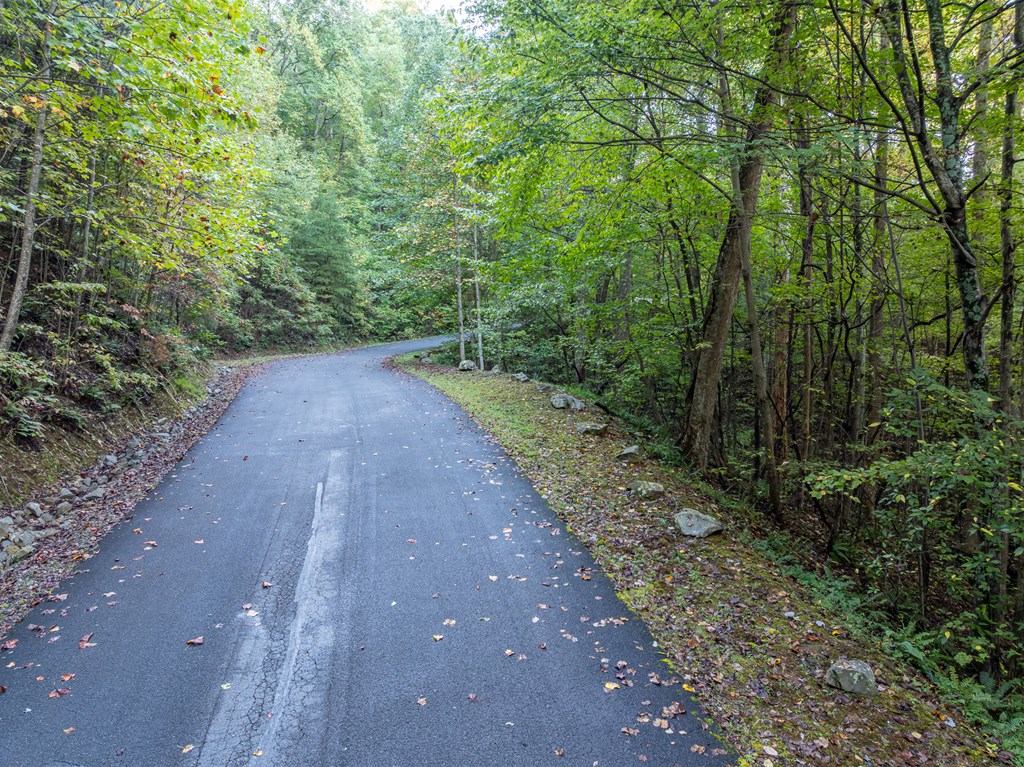 Lot 3 Wilderness Way