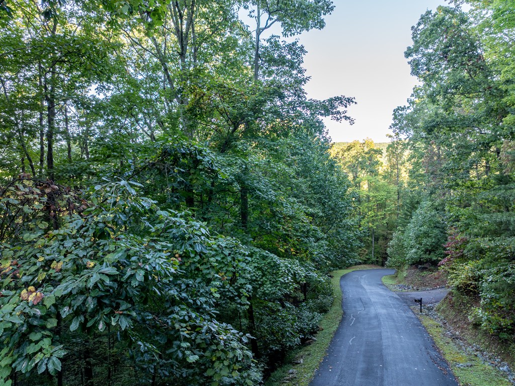 Lot 3 Wilderness Way