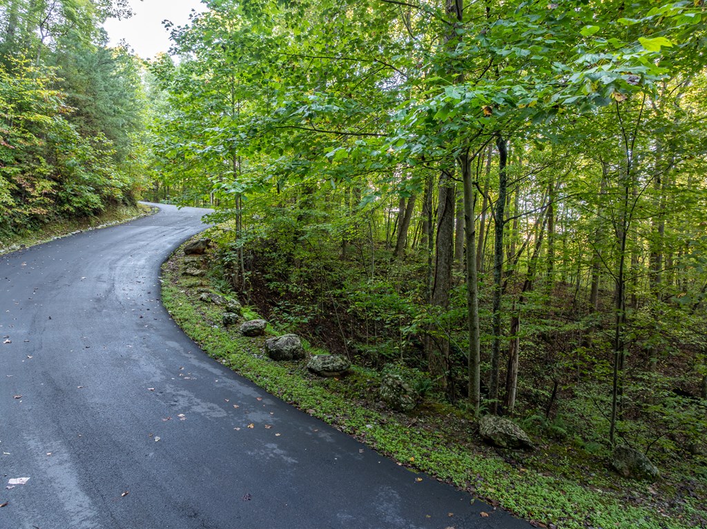 Lot 3 Wilderness Way